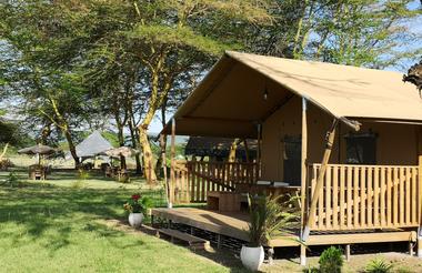 Africa Safari Lake Natron