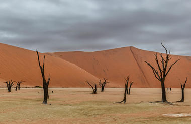 Sossusvlei Excursion