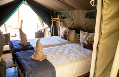 Standard Tent 