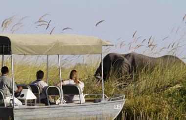 Motorboat trip in the heart of the Moremi Game Reserve