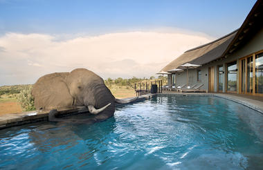 Mhondoro Safari Lodge and Villa