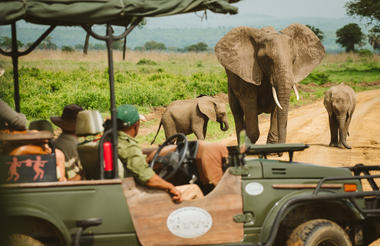 Game Drive