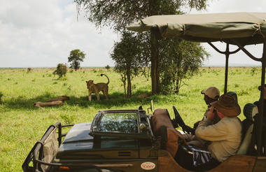 Game Drive