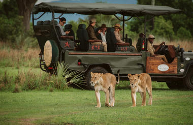 Game Drives