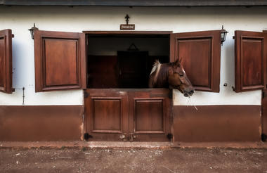 Elewana Collection The Manor at Ngorongoro