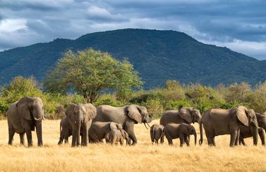 Time + Tide Chongwe House