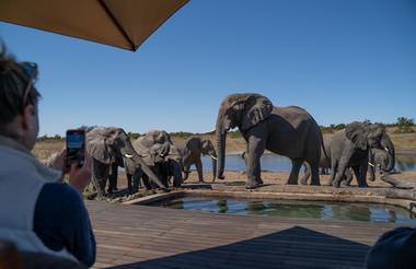 Somalisa Camp Elephant Pool