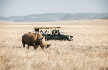 Elewana Collection Lewa Safari Camp