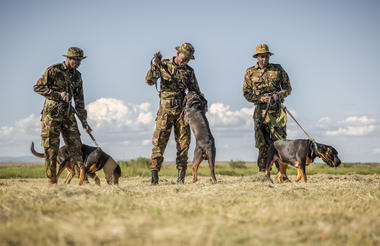 Elewana Collection Lewa Safari Camp