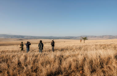 Elewana Lewa Safari Camp