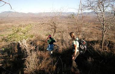 Walking Safari