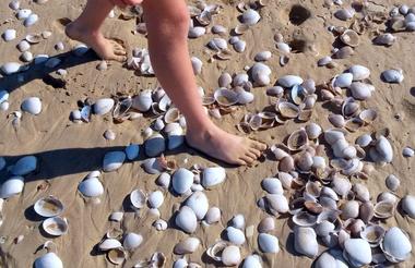 Sandy Beaches