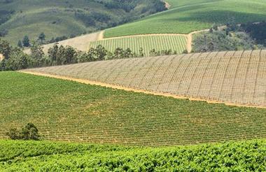 Kanonkop Wine Estate