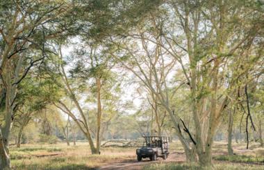 Game Drive 