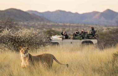 Private Game Drives