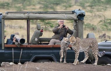 Game drives