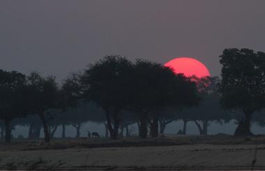 Sunset at Mana Pools