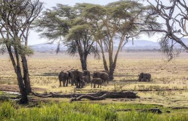 Elewana Collection Kifaru House