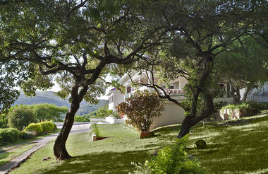 umSisi House Through the Trees