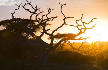 Masek Tented  Lodge - Ngorongoro - Serengeti