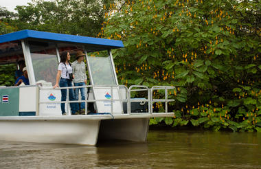 CAÑO NEGRO & RÍO FRÍO BOAT TOUR