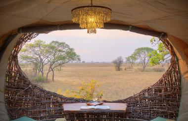 Outside view from Nest