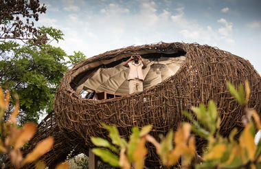 Exterior nest