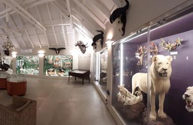 Graeme Naylor Museum