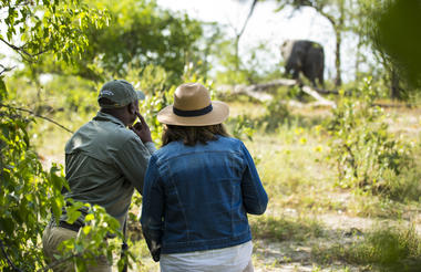 Walking Safari 
