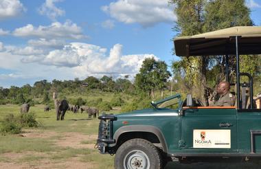 Game Drives