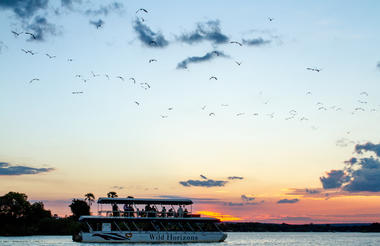 Zambezi River Cruise Sunset