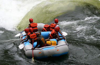 Wild Horizons Activities