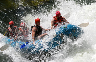 Wild Horizons Activities
