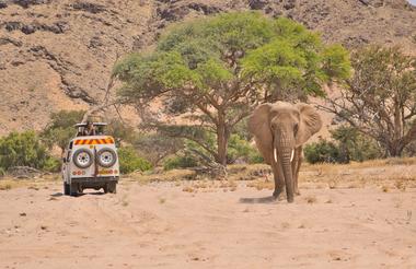 Damaraland Elephant Explorer