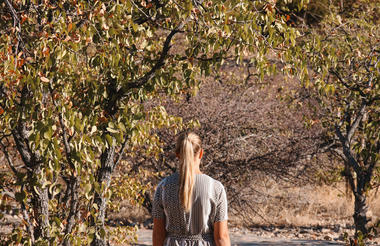 Damara Mopane Lodge activity