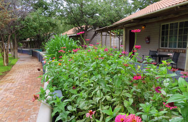 Damara Mopane Lodge
