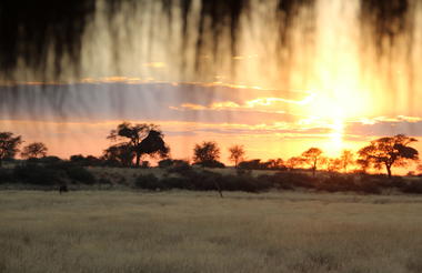 view to the water hole