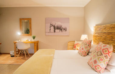 Safari Suite