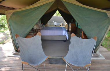 Vintage Botswana safari!