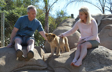 Cub Interaction