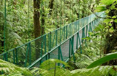 Hanging Bridges