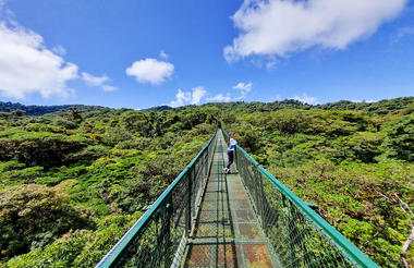 Hanging Bridges
