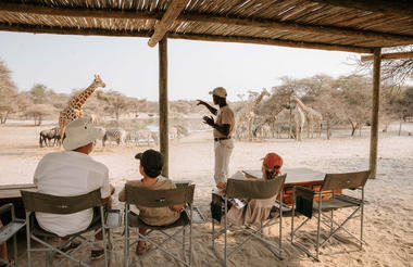 Giraffe Experience