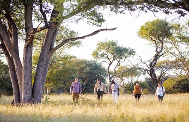 Guided Nature Walk