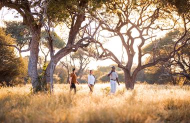 Guided Nature Walk