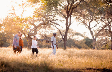 Guided Nature Walk