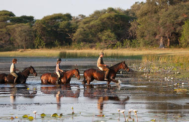 Horse Riding