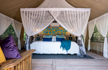Thamo Telele - Tent Interior 