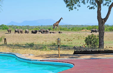 Pool deck with view of the waterhole 