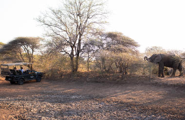 Game Drive